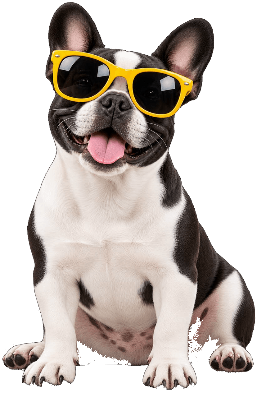 Gafas de Sol para Mascota